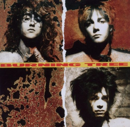 DinoRomanelli's tweet image. #NowPlaying: Burning Tree by Burning Tree (1990)

@BestEverAlbums #marcford #dinocds #albumsyoumusthear