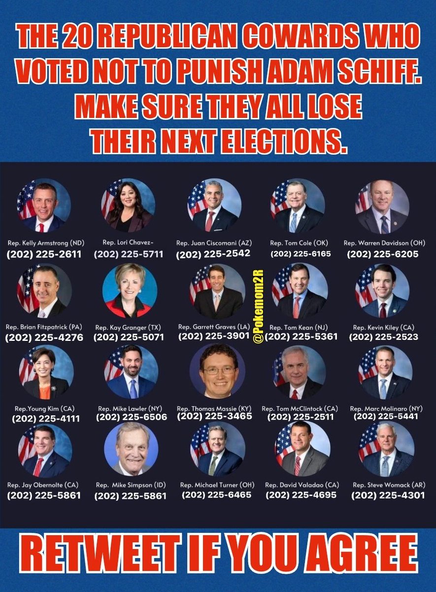 VOTE THESE 20 "REPUBLICAN" RINO/UNIPARTY TRAITORS OUT!💯💯💯