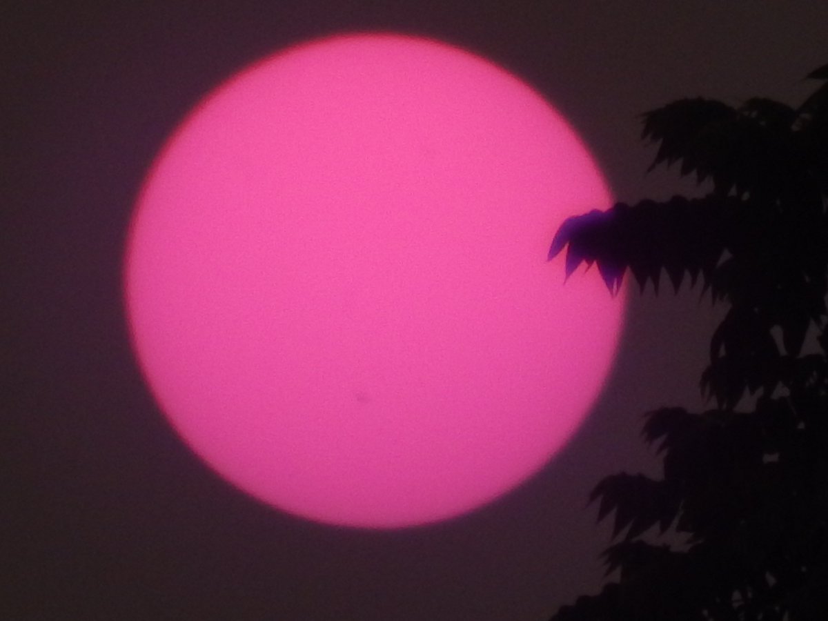 wildfire smoke consumed PA last week.
i took this photo of the sun on 6/6.
such a simple image, but i love it.