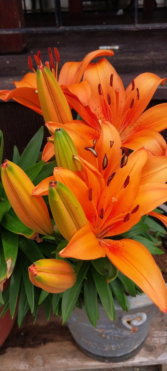 그래도 트위터에서 정치글외에 일반 글부문에서 최다 집필자를 선정해본다면 양심교회 (공도식)
우승후보군에 들어가지 않을가요?