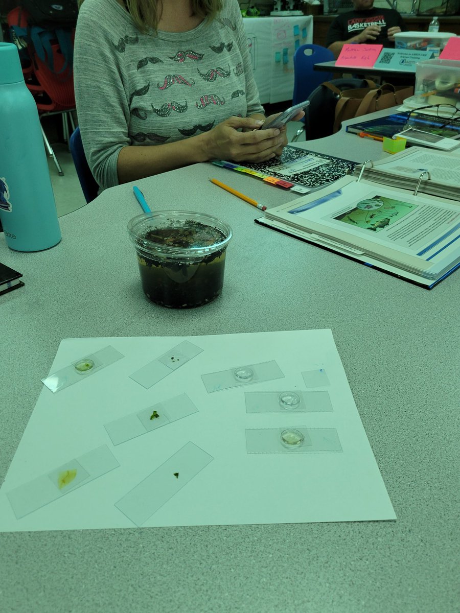 Mary Headrick tweet media