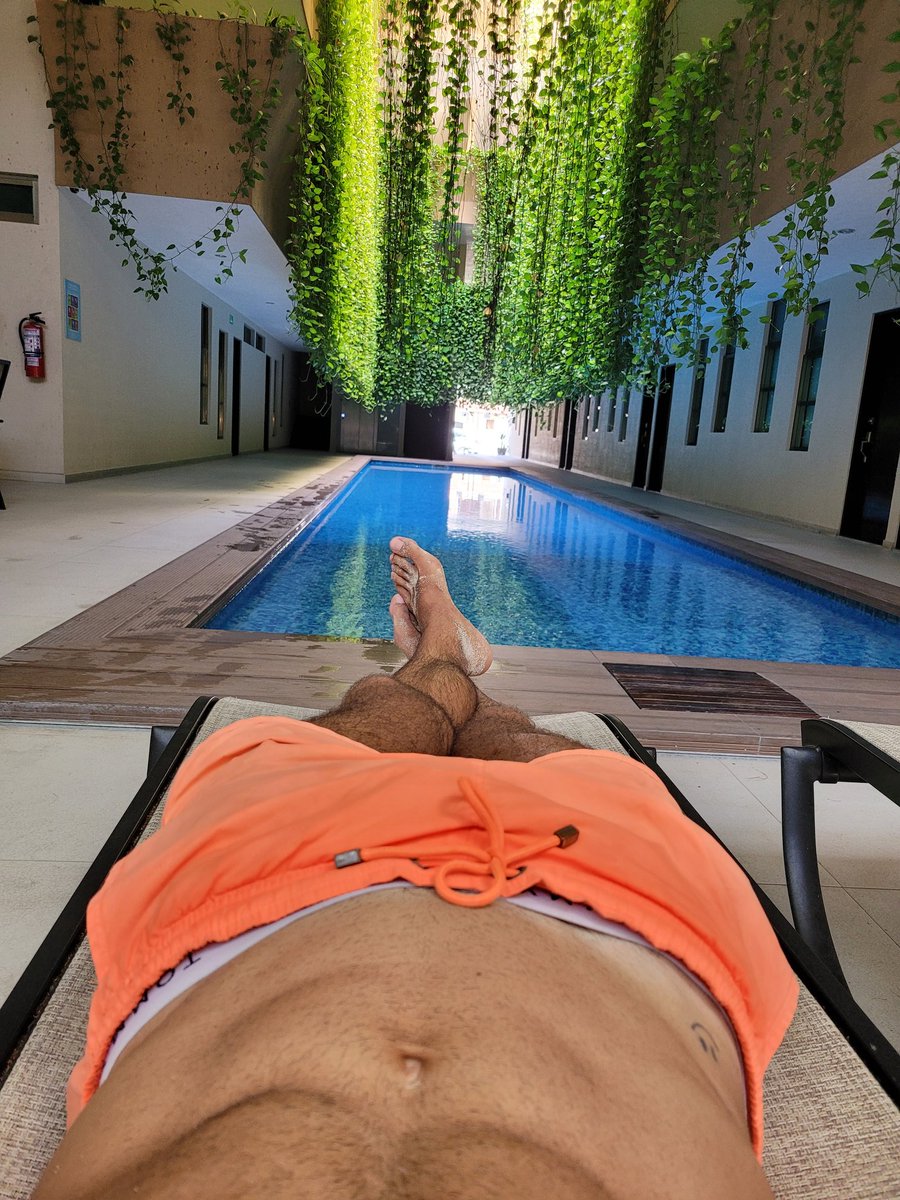 Claveriefede's tweet photo. La buena vida
The good life https://t.co/xKXMvR0beH