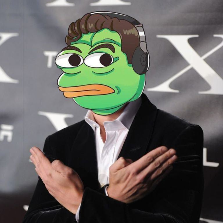 PepeMusk tweet media