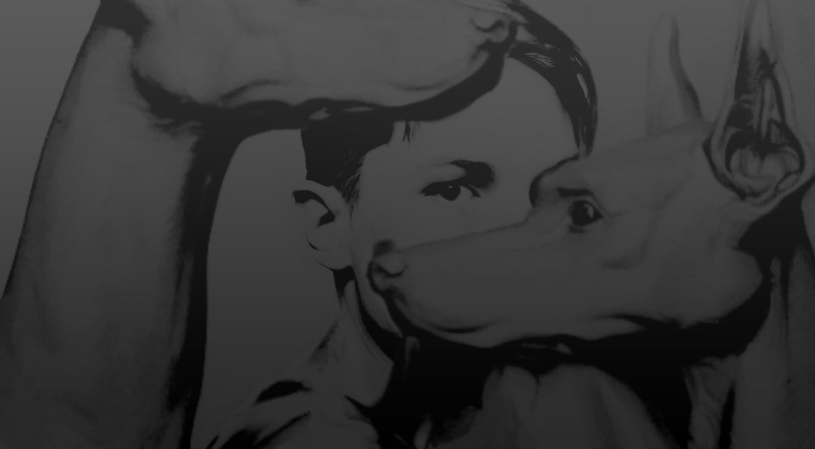 Urquhart. (@lawbutdisorder) on Twitter photo 