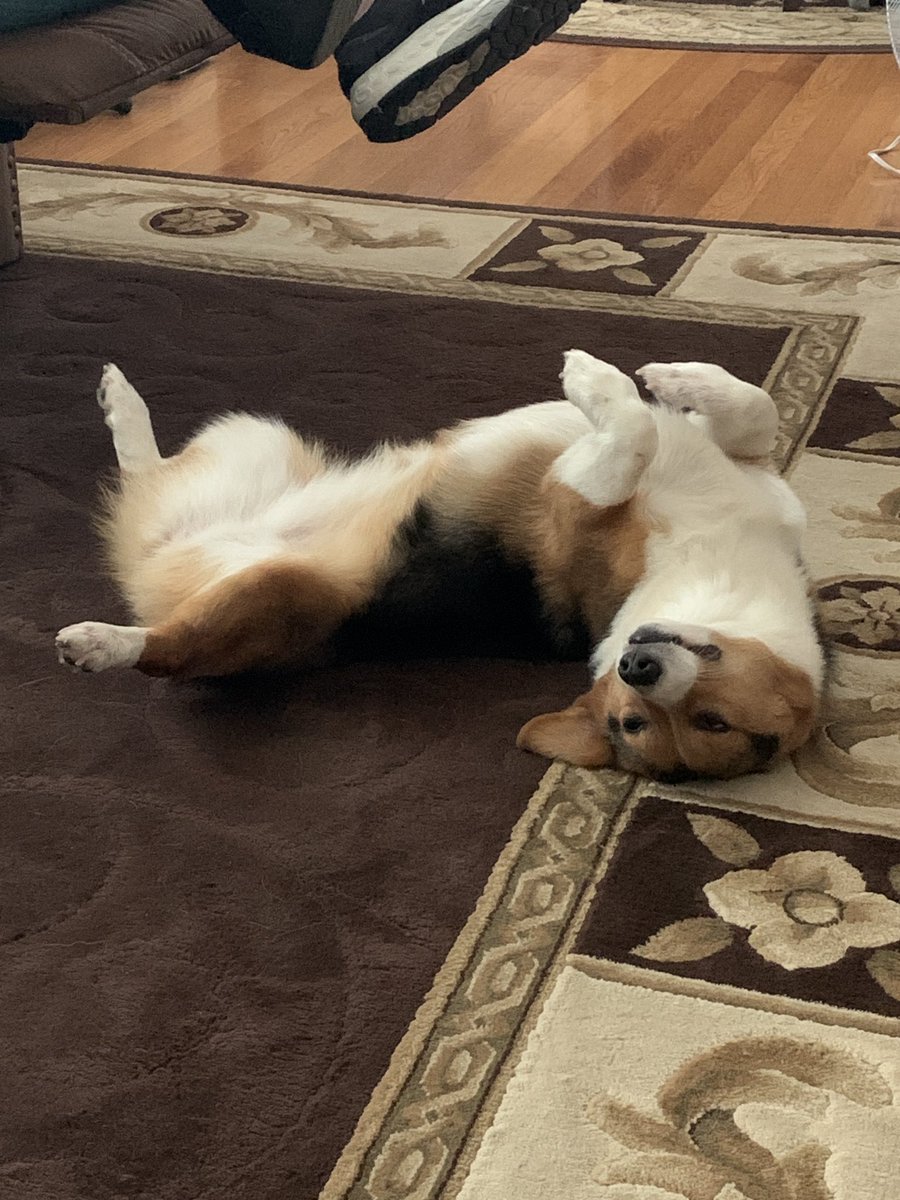 Library Margaret, NBCT tweet media