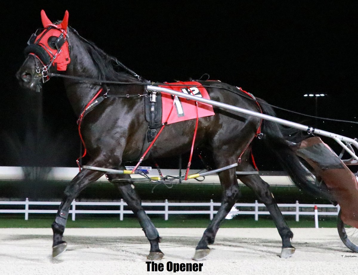 hoosiernations's tweet photo. #NaturalTriple for Kyle
#TrainingDouble for Brett Wilfong 
Congratulations👏👏 #RaceLikeAHoosier #PlayHP https://t.co/5NApWjMIM4