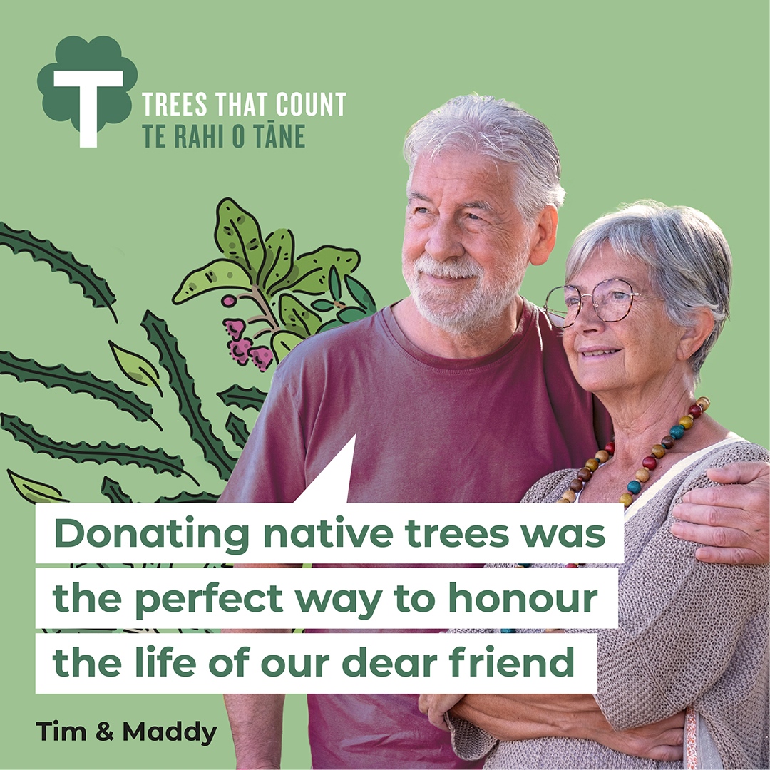 🌳 Trees That Count 🌳 tweet media