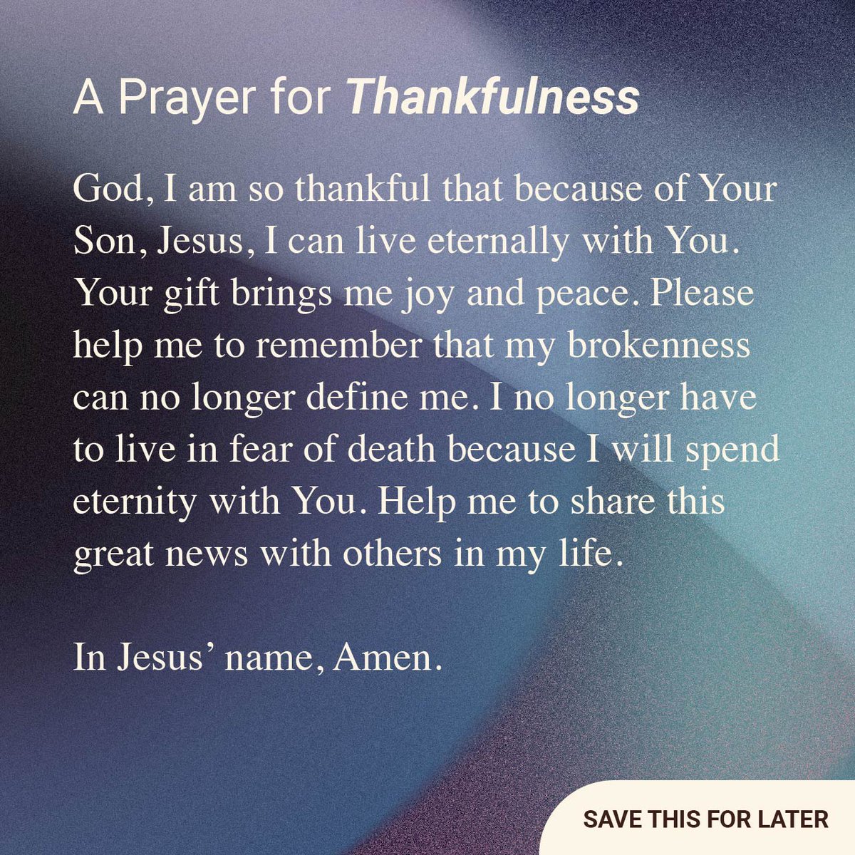 YouVersion Bible App tweet media