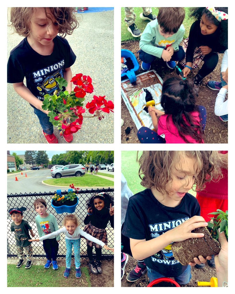 Ms_Lis29's tweet photo. Planting our garden 🪴 @MrsTtheECE1 @DPCDSB_BFA https://t.co/qQoFiBwyKN