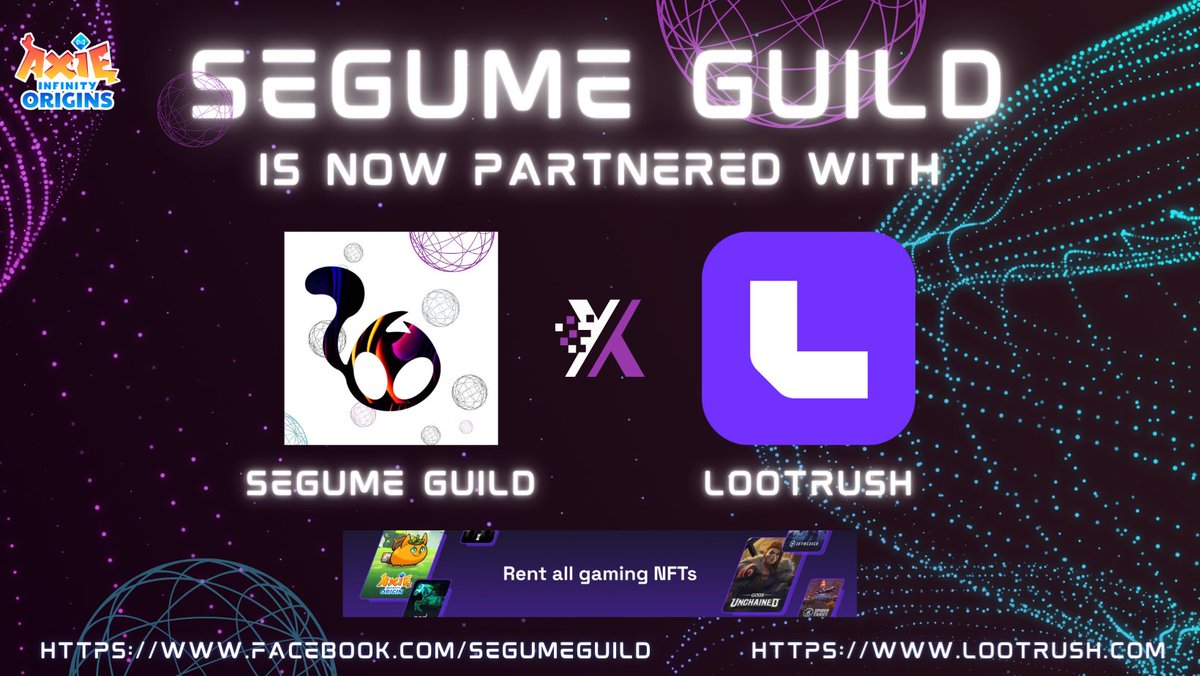 Segume Guild tweet media