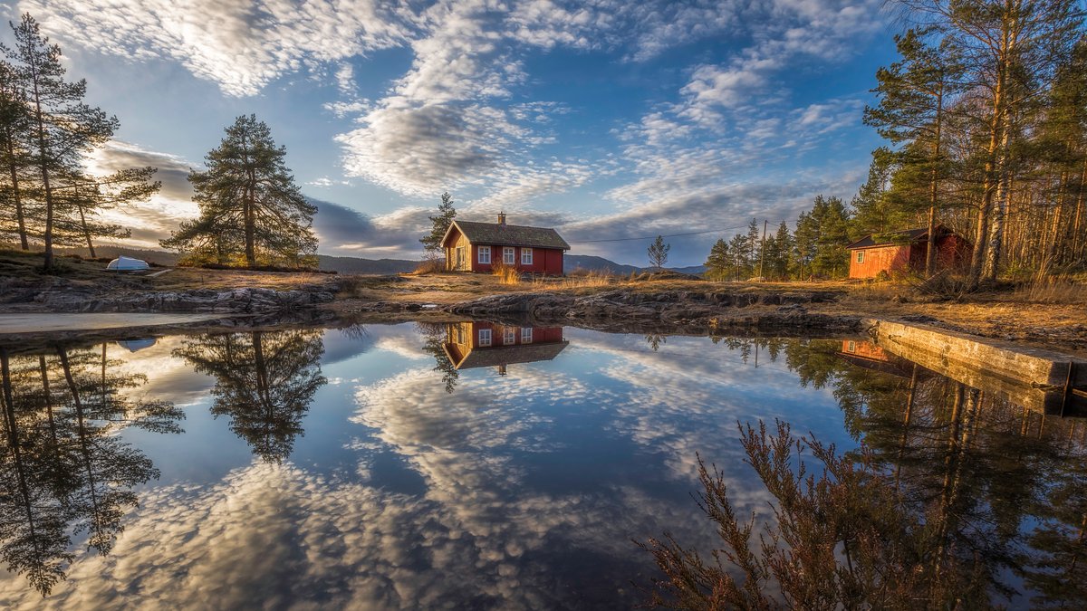 🧌 The best things in life are free: love, happiness, and positivity.