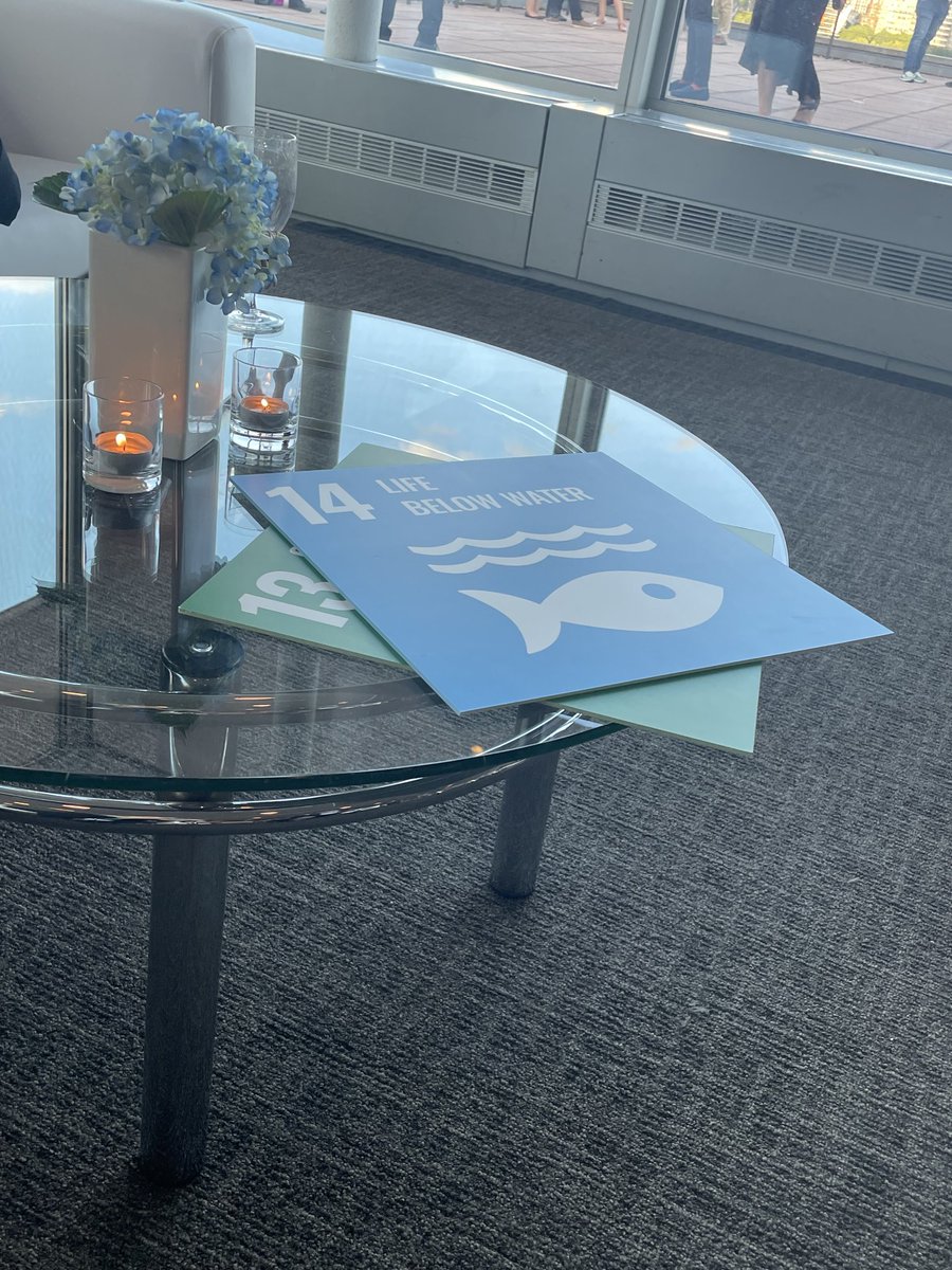 DLBrown_7's tweet photo. Standing on the roof terrace of the United Nations to celebrate our gathering with ⁦@PRMESecretariat⁩. Great to be with global educational leaders who share my passion for a more inclusive, equitable and sustainable world. ⁦@SprottSchool⁩ https://t.co/3SbwL3ShRf