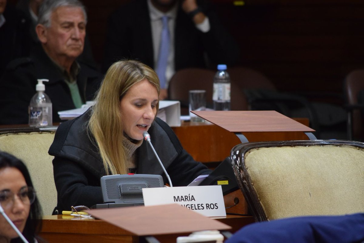 ConvencionConst's tweet photo. recibiendo aportes de expertos y la comunidad en general. 

Durante la sesión, se tomaron juramentos y se aprobaron renuncias de convencionales, generando un debate enriquecedor sobre el proceso de reforma. https://t.co/LQVaOjatjM
