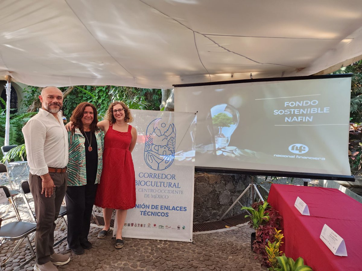 gggimex's tweet photo. 🌿Con alegría compartimos que hoy estuvimos junto a Gob. @indira_vizcaino de @gobiernocolima, Sria. @MarisaaOrtizMan, colegas de @FAOMexico y @NafinOficial y miembros de @cobiocom para abordar avances del proyecto #GEF8 en #PaisajesSostenibles.
¡Gracias @IMADESCOL por el apoyo! https://t.co/XY7ZLkHdec