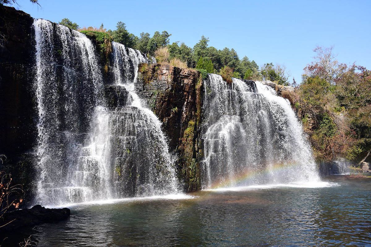 Groeniedraak's tweet photo. @AlpineLifer Forrest Falls, Mpumalanga, South Africa https://t.co/oDulKxQtZM