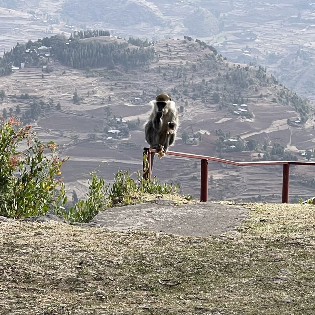 Heading to Ankober to camp 🏕️ over the famous east Africa rift valley, learn about History and connect to nature from one of the oldest destinations in Ethiopia. 

Camping 🏕️ 
Hiking 🥾 6km 
visiting museum 
games And activities 
docs.google.com/forms/d/1qB6pN…

#tobiyahiking #ethiopia