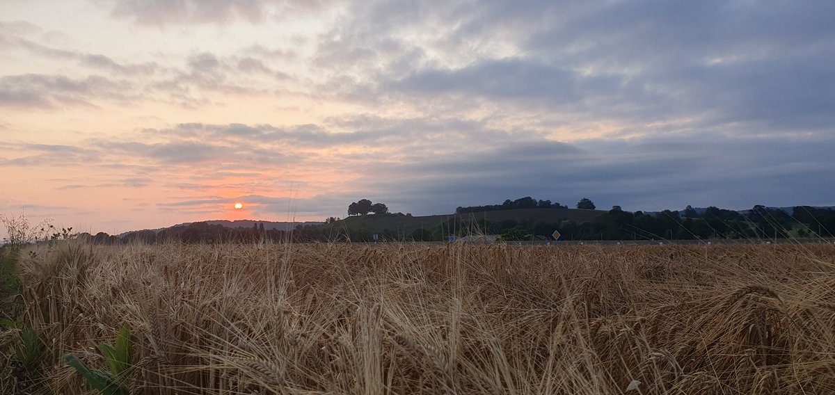 gabelou12's tweet photo. Bonjour ☀️ https://t.co/RWzlGT6STU