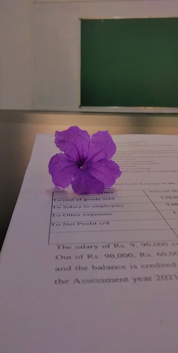 RithikP5's tweet photo. Class room first period excited to learn new topics and learn something new 
Good morning 💜 https://t.co/OGXqZoprjE