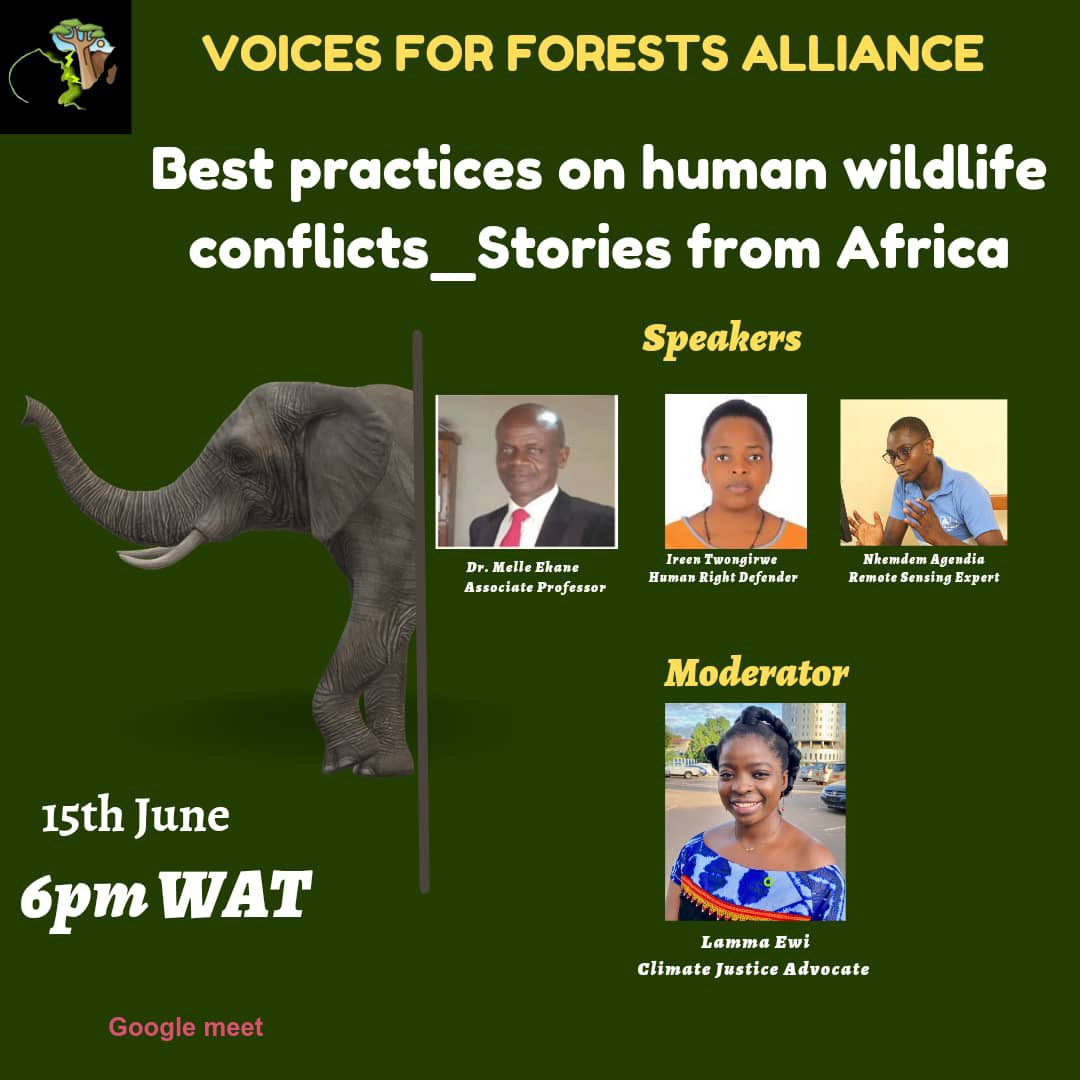 Today at 8:PM Ugandan time our ED @TWONGIRWEIREEN1 will be speaking on human wildlife conflicts in Africa together with other speakers from Africa. 
#protectNature
#SayNoToHumanWildlifeConflicts
#SaveBugomaForest 
#StopEACOP