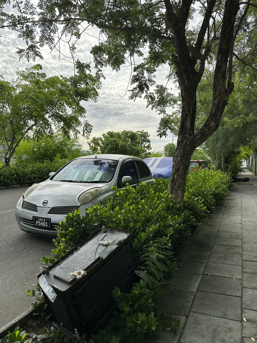 Concrete buildings alone provide a habitable home , it’s surrounding greenery and services provided facilitating conscious living , this road has been blocked for more than a month after decimating the huge trees here. 
<a href="/hdcmaldives/">Housing Development Corporation</a> <a href="/presidencymv/">The President's Office</a>