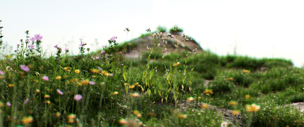 levberry tweet picture