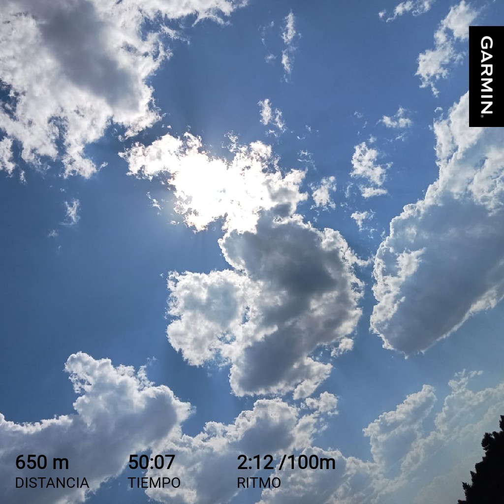 veritoriosc's tweet photo. #garmin
Día 14 🏊‍♀️ #NatacionenAlberca
 #RetoCobarde2023 #PorqueSoloLosCobardesCorren 
#Acaentrerunners
#LosCobardesTeam
#garmin #beatyesterday https://t.co/ZSVPugOxyG