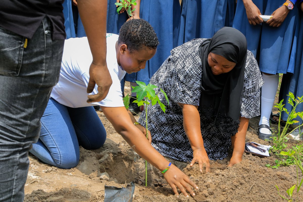 climatehubTz's tweet photo. 🌱🌍 It's Environmental Month! Have you been keeping an eye on your planted trees' progress? 🌳📈 Remember, climate action goes beyond just planting.
Let's monitor their growth and make a lasting impact. 🌿💚
#climatehubtz #EnvironmentalMonth https://t.co/LNMFsOrwxJ