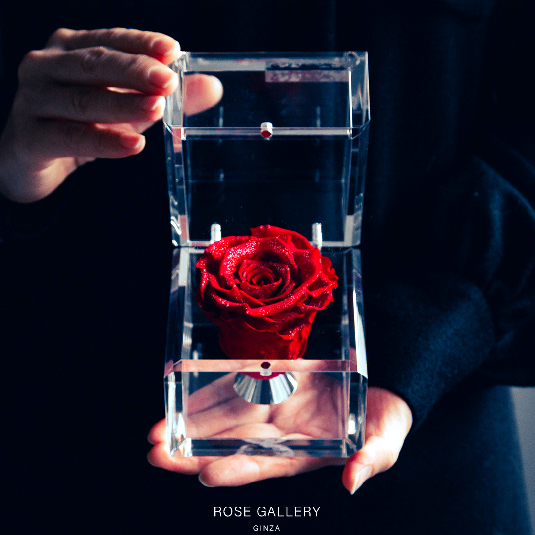 RosegalleryTR's tweet photo. #ダイヤモンドローズ

@rosegallerytr
https://t.co/iAzKcnc8Ny

#東京銀座
#ローズギャラリー
#ROSEGALLERY
#TimelessRose #プリザーブドローズ
#プロポーズ #誕生日お祝い
#誕生日プレゼント #誕生日ギフト
#ビジネスギフト #周年祝い #開店祝い #開業祝い https://t.co/jimRLels0S