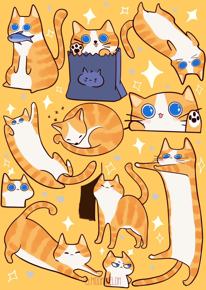 ✧ Riku /ᐠ •⩊•マ✨ tweet media