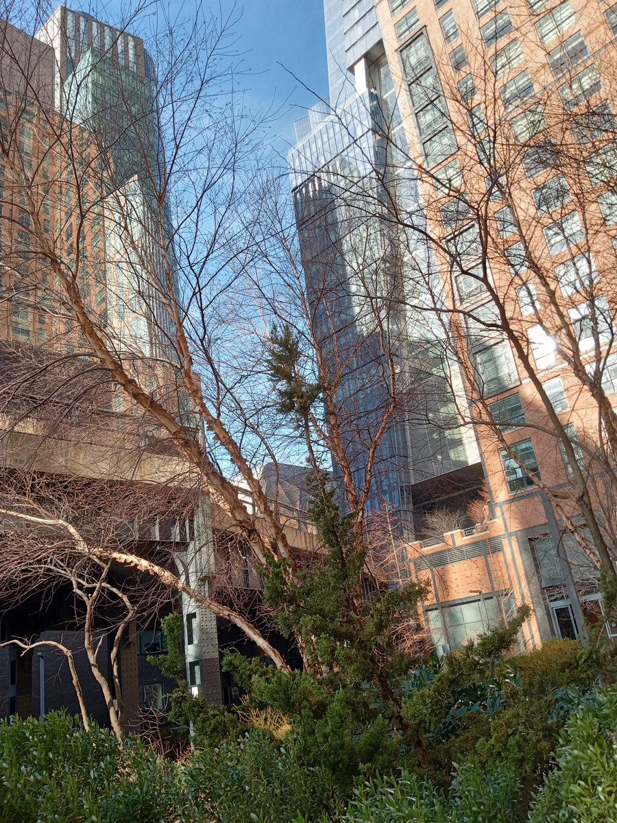 Superbest79's tweet photo. New York City 📸🌆🏙️🌞 https://t.co/Zc1MpiSEtC