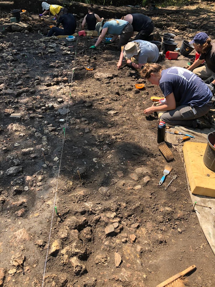 AssoMegaNeo's tweet photo. ⛏️ On vous partage les premières photos de la fouille en cours au @ChRoquefort. De belles découvertes #Néolithiques en perspective. https://t.co/ku4zydBNUD