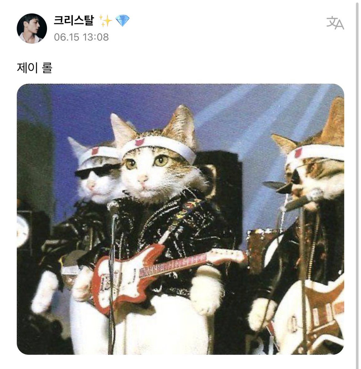 enhypenweverse's tweet photo. [ #제이’s Reply ] 230615

OP: Jay Lol

🐈‍⬛: Is cat+rock a trend these days?
🐈‍⬛: Why are there so many types of photos

@ENHYPEN_members @ENHYPEN #ENHYPEN #엔하이픈 #JAY https://t.co/fbR5YgMuRB