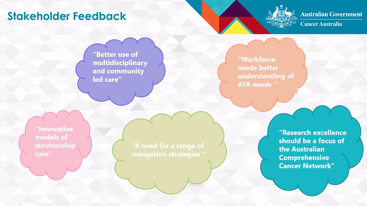 some of the stakeholder input into the #AustralianCancerPlan relevant to #survonc care