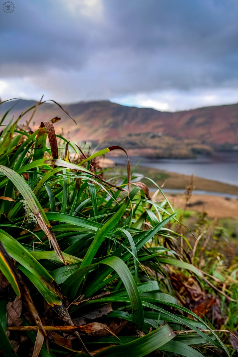 Some shots over Derwent Waters, near Keswick.

These are from up at the viewing spot at Ashness, high above the lake.

#photography #landscapephotography #thelakedistrict #derwent #keswick #mountains #landscape #lakeshore #lake #fujifilm #stones #pebbles #clouds #trees #viltrox