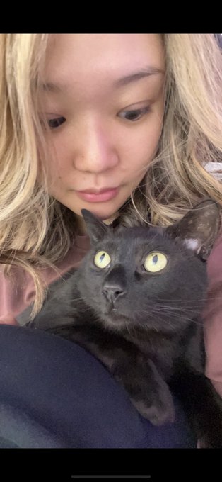 Don&rsquo;t know how to handle anything right now   I lost my cat of 8 years yesterday. And I feel like my