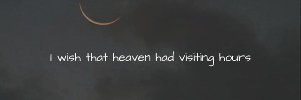 Visiting Hours || Ed Sheeran