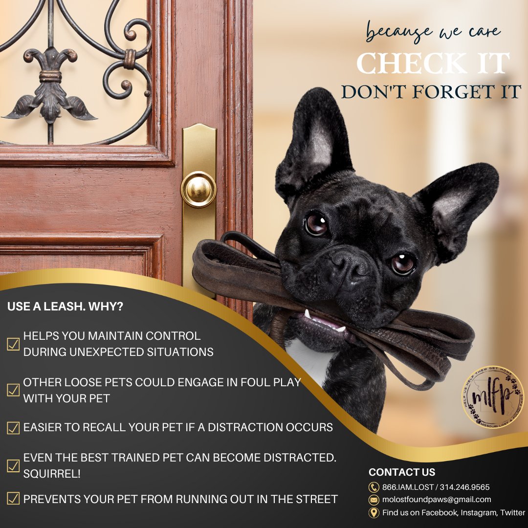 molostfoundpaws (@molostfoundpaws) / Posts / X