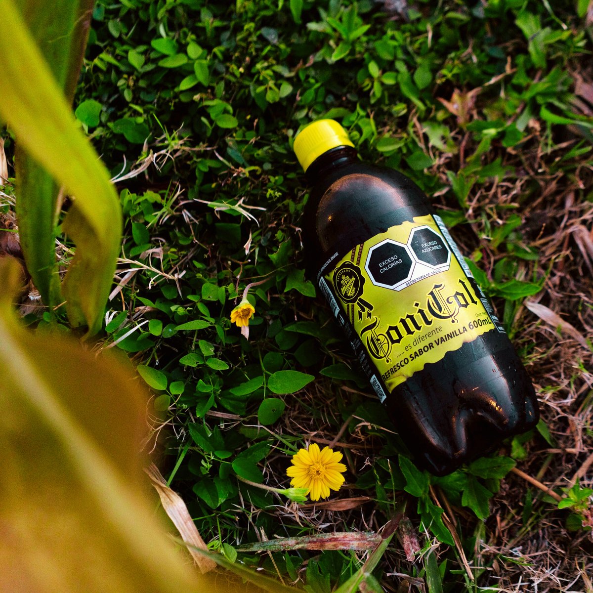 ToniCol_Oficial's tweet photo. Mira na'más las cosas bellas que se encuentra uno
🥹💛
#ToniCol
#EsDiferente https://t.co/BDPTrc8ZBM