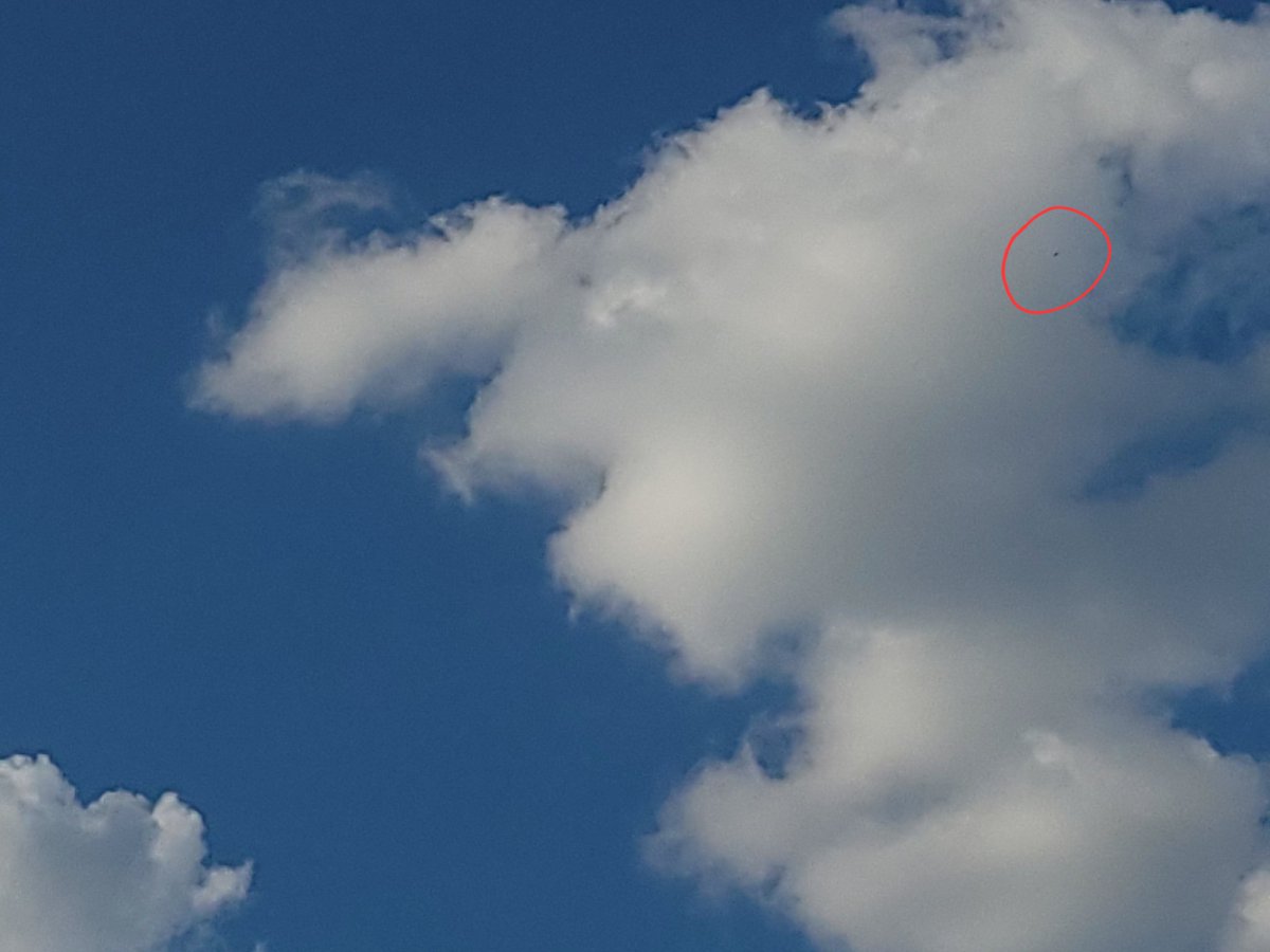 indigo__dreams_'s tweet image. Hello the Clouds! ✌️ #officialfirstcontact #aliens