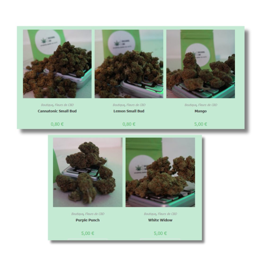 smashingcbd tweet picture