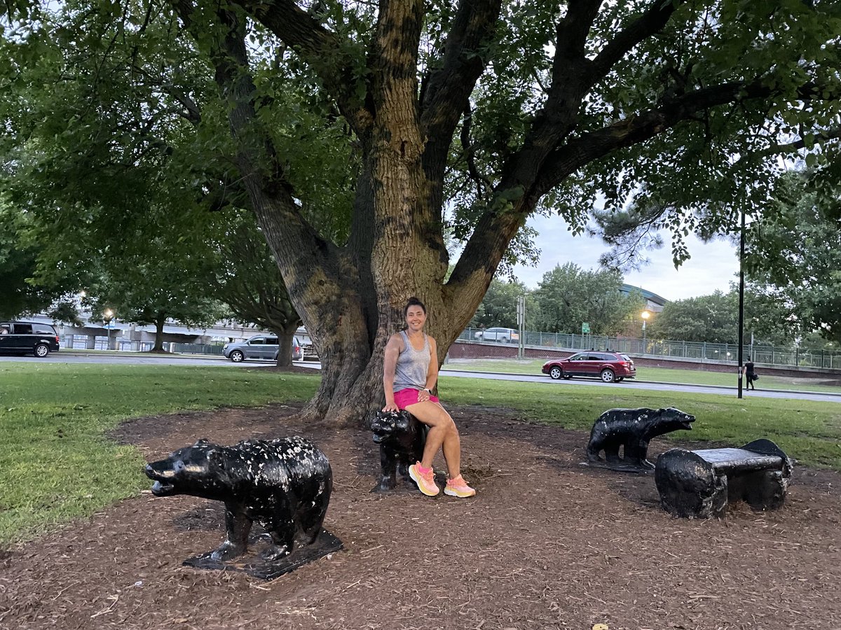 ColemanMichone's tweet photo. A Mt. Airy bear sitting on a New Bern bear #MASummer #VisitNewBern https://t.co/59UTUWeET2