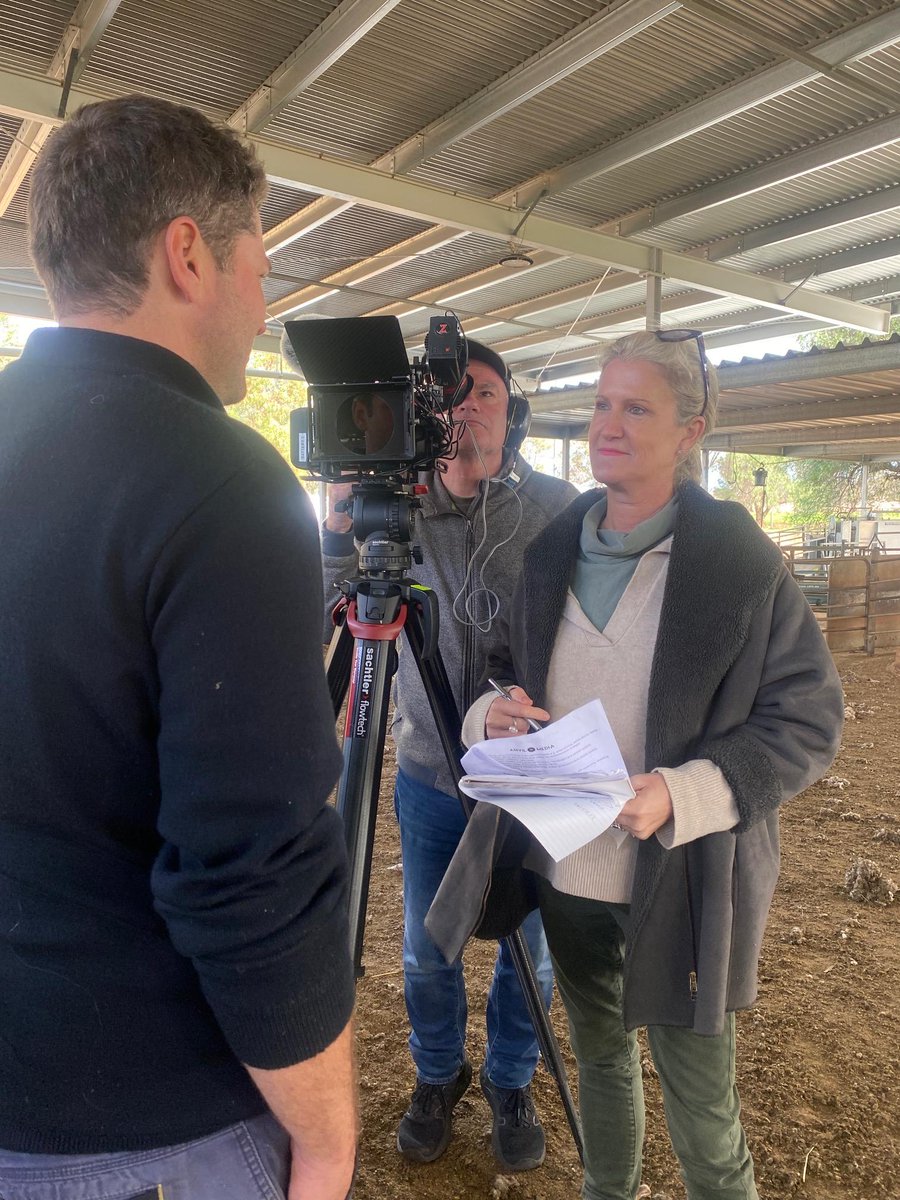 AnvilMediaAust's tweet photo. Anvil crew in Snowtown SA, with @leahcimgenetics for @IntegritySysCo and @meatlivestock. Covering sheep EIDs, eNVDs, and @AUSGoodMeat.

#videoproduction #videoforagribusiness #StrategicVideoContent #VideoSolutions #AnvilMediaAustralia https://t.co/LpYM59WNnj
