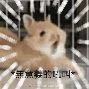 公司同事今天早上的朋友圈：一大早在停车场一样的路口挤得满满的公交车上，看到傻屌同事溜溜哒哒从窗外过去的心情，谁懂啊💢💢💢
路过的鸟类内心：这个剥皮软糖为什么剥不了皮啊气！！！又被骗了•᷄ࡇ•᷅