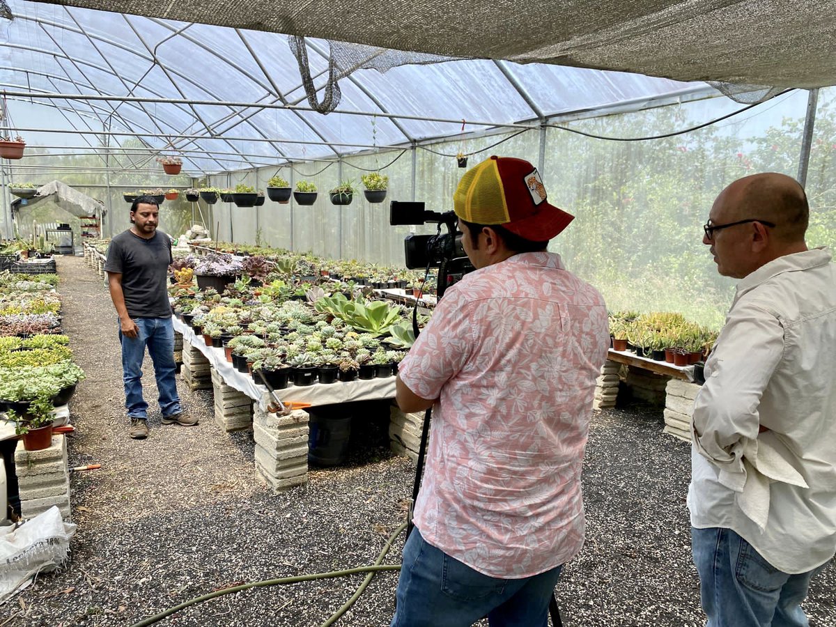agropecuarioRTV's tweet photo. Visitamos a nuestros amigos del Vivero "Habitat", productores de Suculentas y Cactus 🌵, próximamente lo verán en el programa…

#VeracruzAgropecuario
#ProduceOrgullo https://t.co/Qmc3WeSDt4