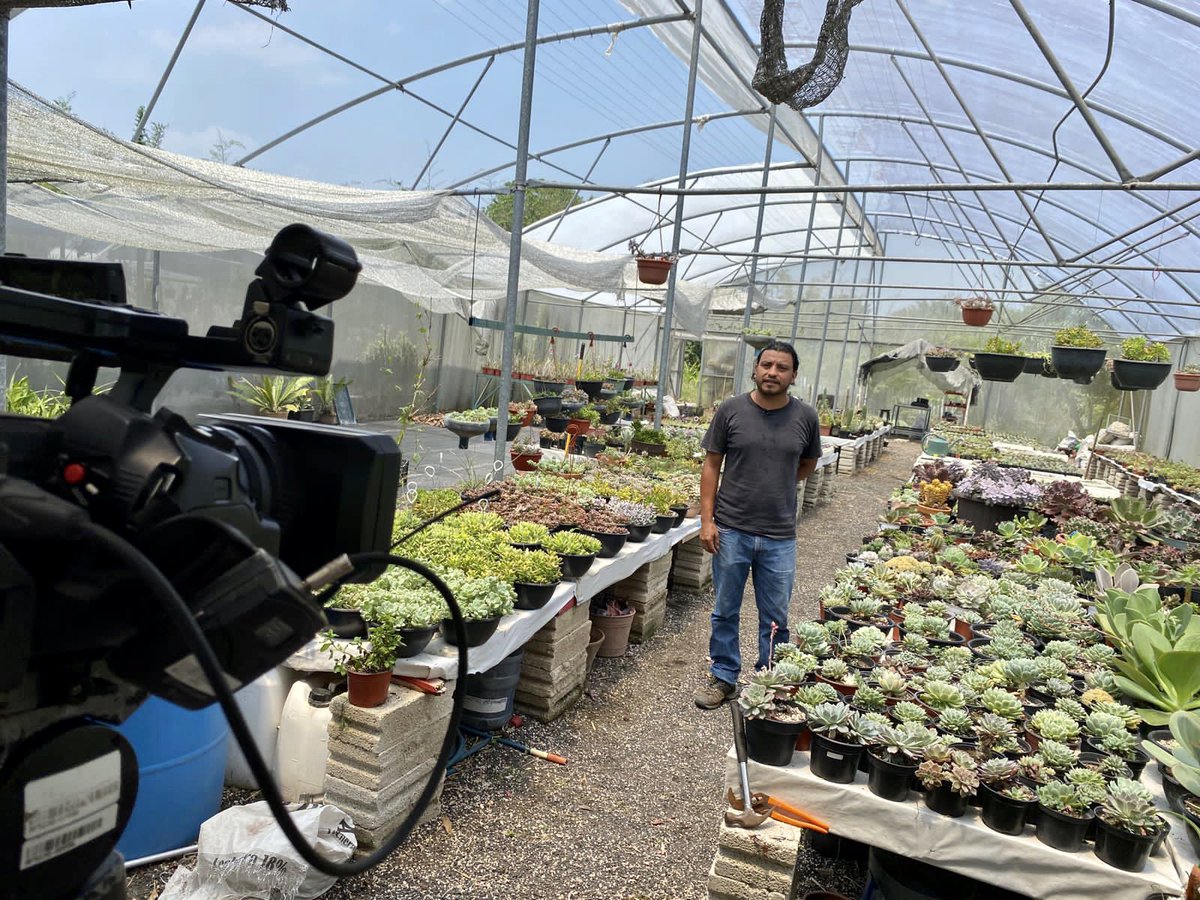agropecuarioRTV's tweet photo. Visitamos a nuestros amigos del Vivero "Habitat", productores de Suculentas y Cactus 🌵, próximamente lo verán en el programa…

#VeracruzAgropecuario
#ProduceOrgullo https://t.co/Qmc3WeSDt4