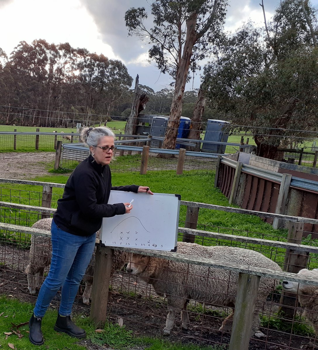 ag_southwestnrm's tweet photo. Our Drought Hub lead @JeisaneAccioly will be at today's #PastureChallenge field walk to talk about how farmers have been dealing with the break, grazing deferment and feed decisions https://t.co/8QOIOV2rgz @GGA_WA #SoilWise https://t.co/eALRvGvl6T