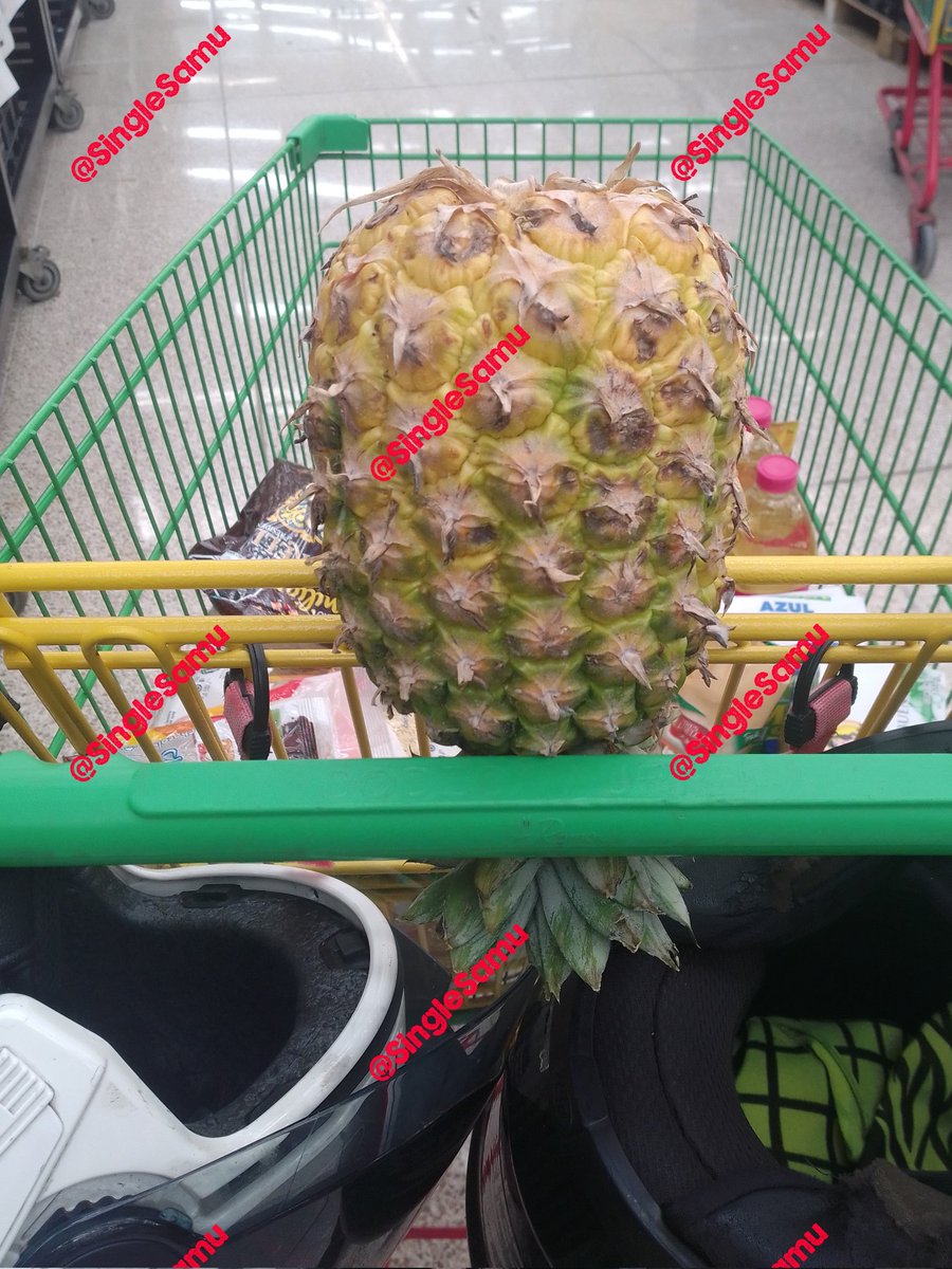SingleSamu's tweet photo. 😱🤔Cómo llego  esta🍍 aquí??? 🤪🤫 Andamos buscando alguna chica 🦄 o hotwife con permiso para autoregalo 😇🥳😈 bueno sería MHM 🙈🙉🙊 dm si hay alguna chica

#SamuNaro #cuckquean #trioMhM #Hotwife
#swingersméxico #TRAVESURAS #nosoyfitsisoyfat @SingleSamu https://t.co/iJ0PDdzLwd