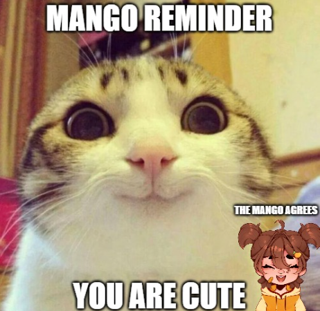 ManaiaQShine's tweet photo. hehe 🧡 https://t.co/ezyCiNowAb