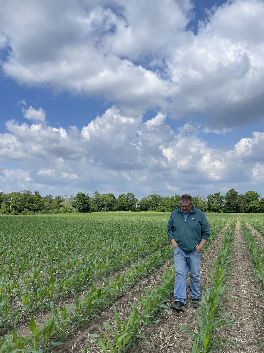 Sarah Starratt tweet media