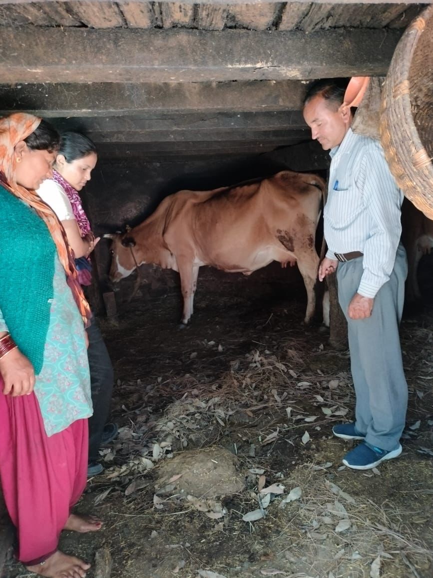 AdBageshwar's tweet photo. आज दिनांक 14/06/2023 को दुग्ध समिति वजूला मे श्रीमती नीमा देवी, रोशनी , लक्ष्मी देवी की गाय का लंपी का उपचार किया गया ।
दुग्ध समिति ऐचर मैं श्रीमती हीरा देवी की  गाय का उपचार किया गया ।
दुग्ध समिति रामपुर मे गायो का इलाज किया गया @DirectorDairy @basava_ias https://t.co/i4tErUntM2
